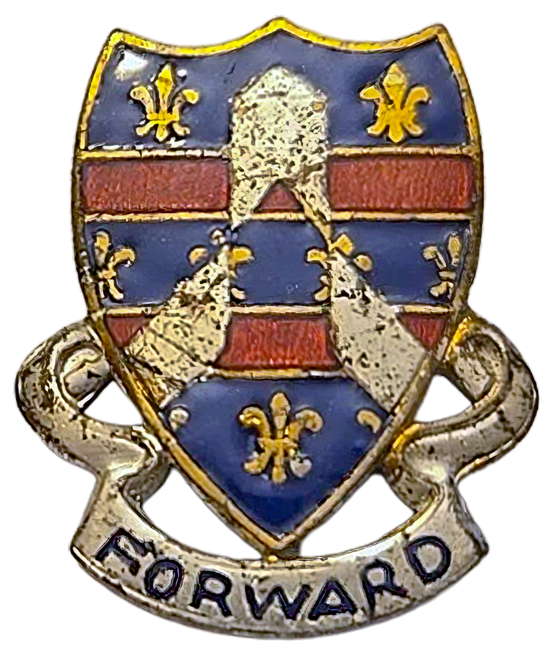 320th Infantry Regiment DUI