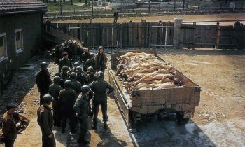 Buchenwald