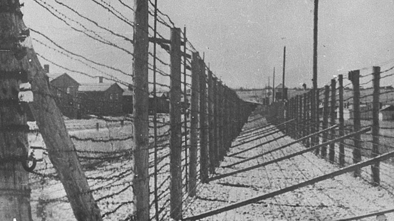 Barbed wire electrical fences