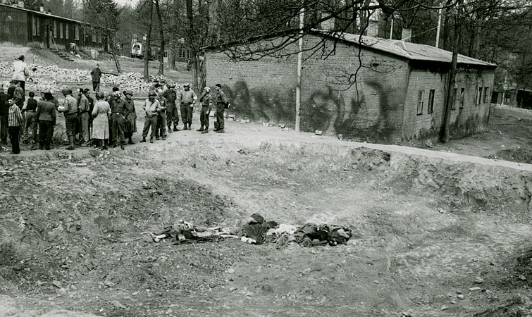  Corpses lie in a sunken mass grave outside a barrack of the Langenstein-Zwieberge concentration camp while survivors gather nearby.