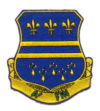 335th Infantry Regiment DUI