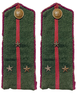 Medic / Surgeon shoulders boards