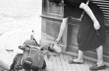 Women in the Normandy Campaign: Unsung Contributions