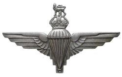 Parachute Regiment Cap Badge