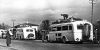 Scandinavian prisoners are evacuated on Red Cross buses