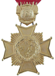 Combat Cross of Brazil