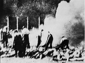 Only a few pictures were taken inside Auschwitz Birkenau this is one of them