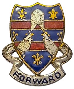 320th Infantry Regiment DUI