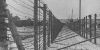 Barbed wire electrical fences