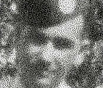 Robert (Bob) O'Mara