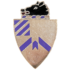 30th Infantry Regiment's Distinctive Unit Insignia badge
