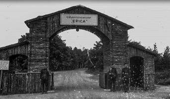 Camp Erika