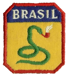 Brazilian Expeditionary Force