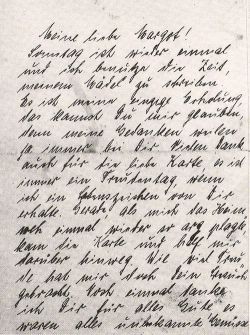 Elisabeth Paula Bottländer-Lüters' letter home