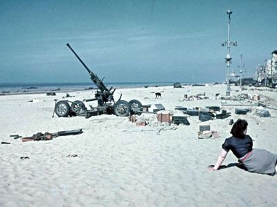 Getting back to 'normal'