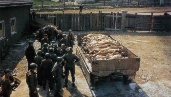 Buchenwald right after liberation