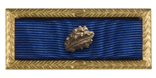 Presidential Citation with 1 Oak Leaf Cluster