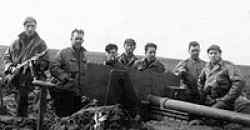 Neuss, Germany, March 1945. Sergeant Arnold is on far right. Back of the photo lists names, from left to right: Iavannica, Canine, Romano, Hunter, Busa, Phillips, Arnold. This is the gun that was destroyed by the Germans at the Elbe River in April 1945.