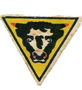 The 9th Field Company was assigned to the 79th Armoured Division ni 1944