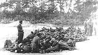 Dropping into Holland on the 17th of september 1944
