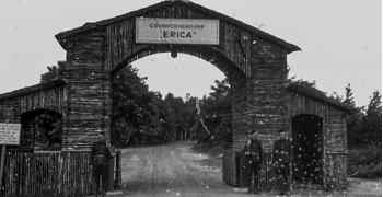 Camp Erika