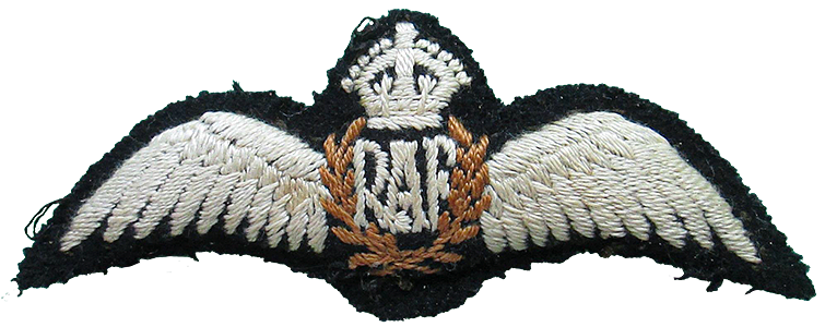 RAF pilot uniform wings