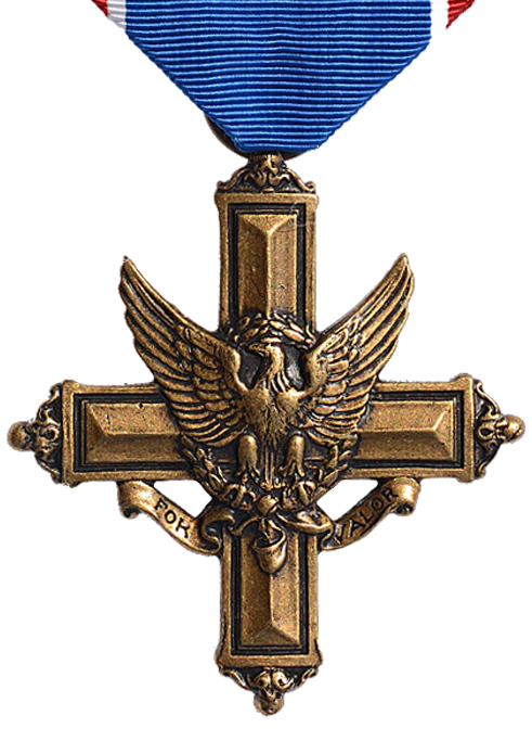 Distinguished Service Cross (2)
