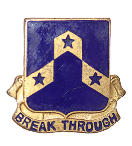 117th Infantry Regiment DUI