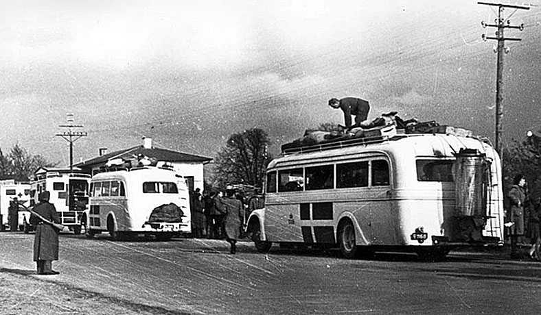 Scandinavian prisoners are evacuated on Red Cross buses
