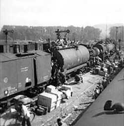 Troop train on his way home after the war. It shows some of the many displaced persons trying to make their way back home by riding on top of rail cars or any other way they can. Notice also that the boxcar in the photo is actually an oil car in disguise to keep it from being shot up by the Allied air forces.