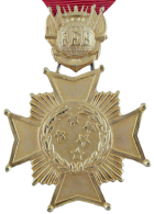 Combat Cross of Brazil