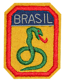 Brazilian Expeditionary Force