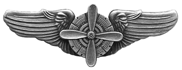 A ww2 American pilot badge