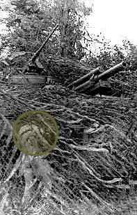 If you look closely you will see Irving standig under the camouflage nets.