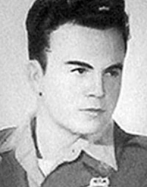 Walter Lewis Hendrix
