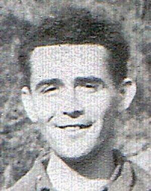 Alvin Ungerleider