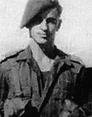 Denis Edwards