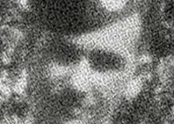 Robert (Bob) O'Mara